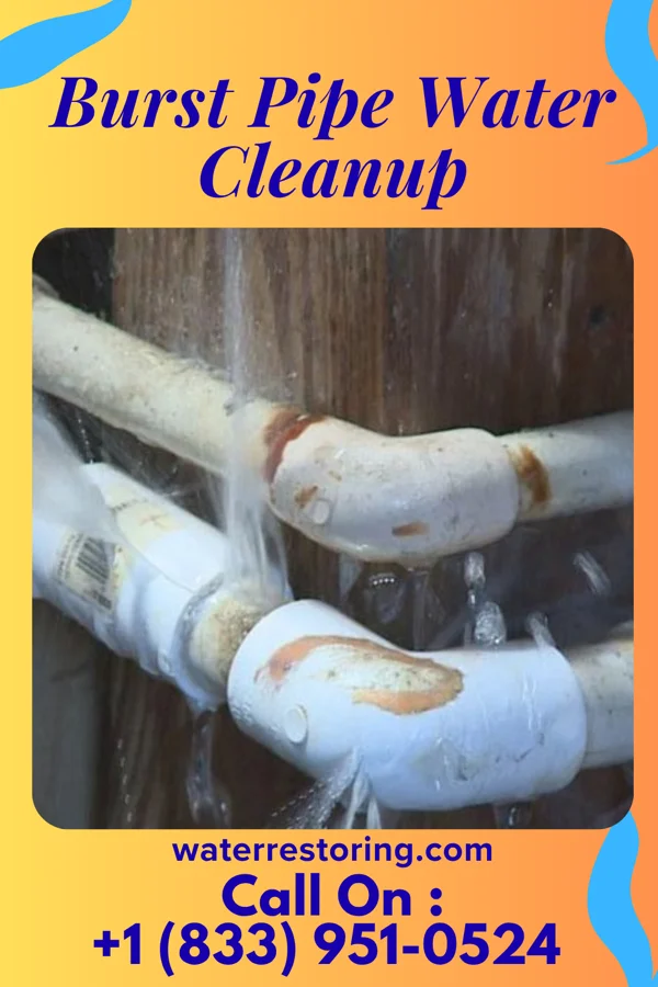 Burst Pipe Water Cleanup in Towanda, KS