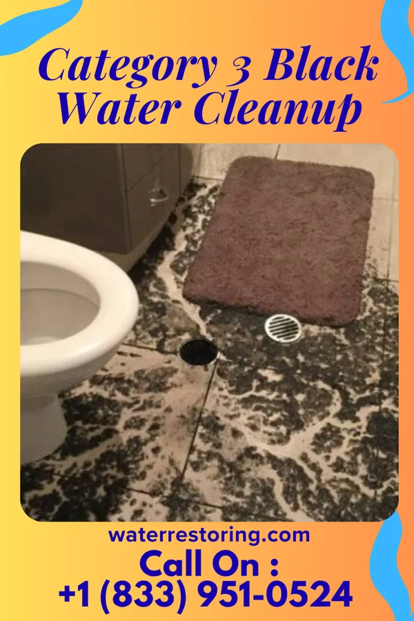 Category 3 Black Water Cleanup in Towanda, KS