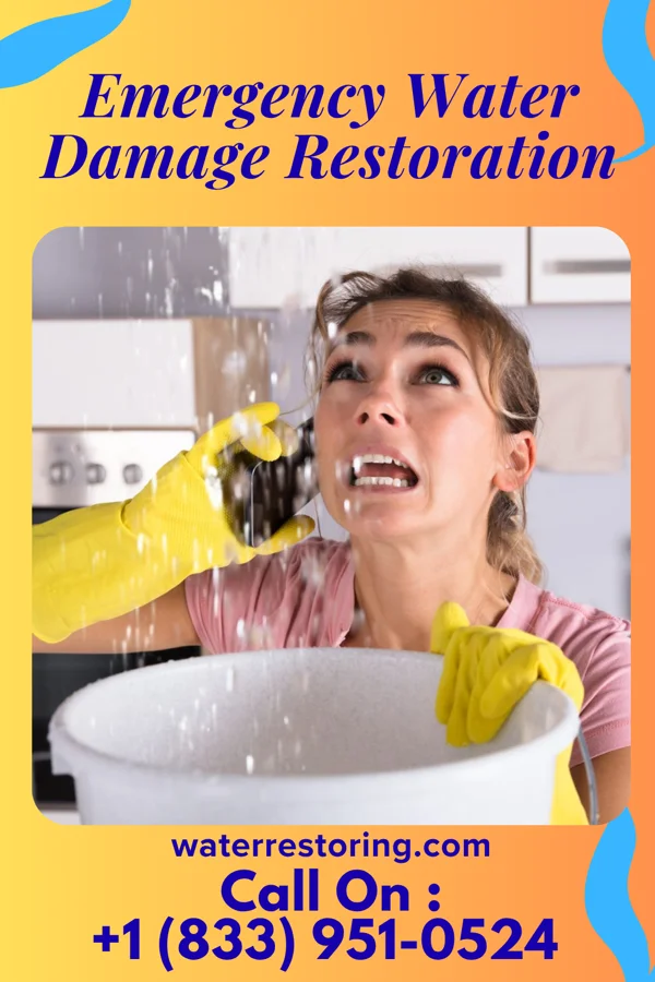 Emergency Water Damage Restoration in Towanda, KS