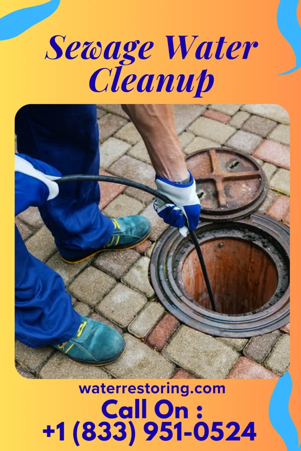 Sewage Water Cleanup in Towanda, KS