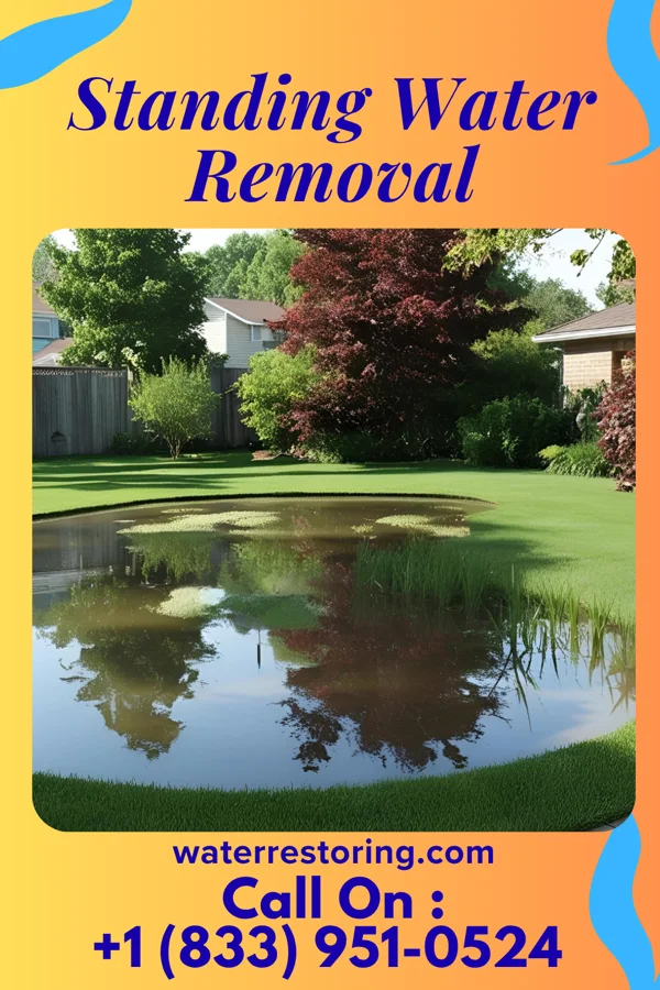 Standing Water Removal in Towanda, KS